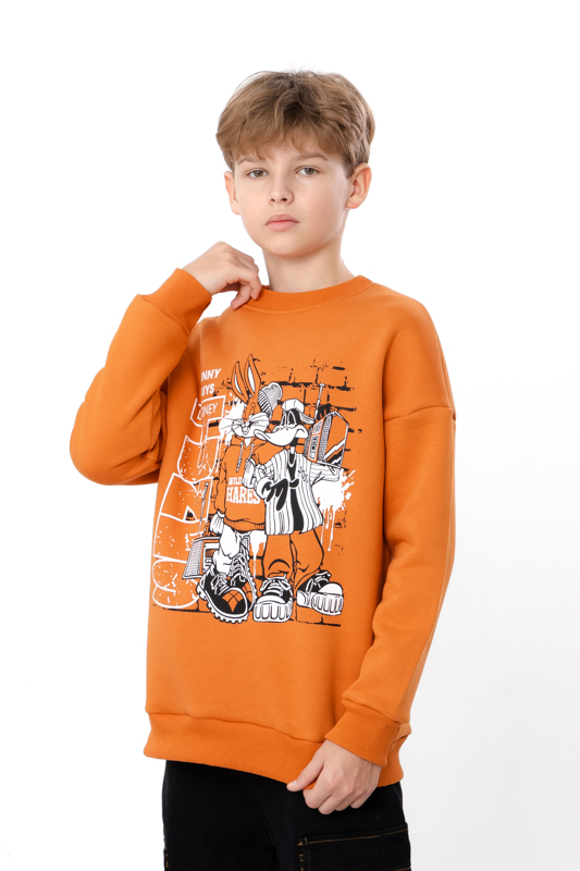 Світшот для хлопчика 